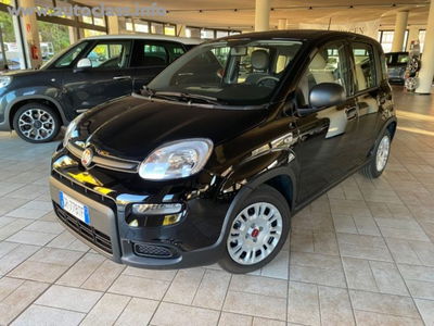 Fiat Panda 1.0 firefly hybrid s&s 70cv 5p.ti usata