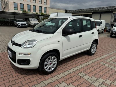 Fiat Panda 0.9 TwinAir Turbo Natural Power Easy usata