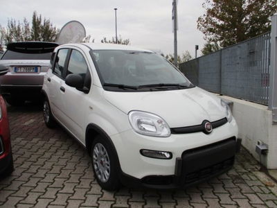 Fiat Panda 1.0 firefly hybrid s&s 70cv 5p.ti nuova
