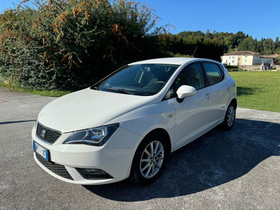 SEAT Ibiza 1.4 TDI 75 CV CR 5p. Business High usata