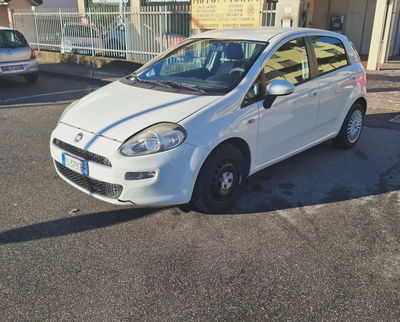 Fiat Punto 1.2 8V 5 porte Easy usata