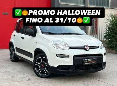 Fiat Panda 1.0 FireFly S&S Hybrid usata