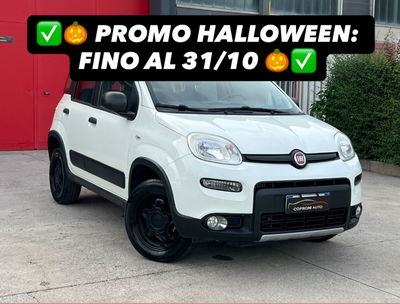 Fiat Panda 1.3 MJT 95 CV S&S 4x4 usata