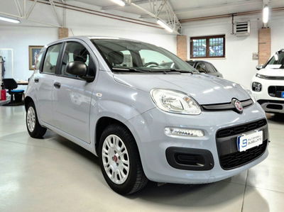 Fiat Panda 1.0 FireFly S&S Hybrid usata