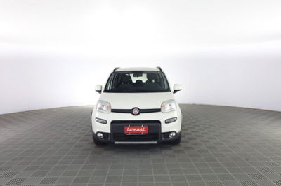 Fiat Panda 1.0 FireFly S&S Hybrid City Cross usata