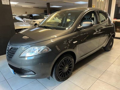 Lancia Ypsilon 1.2 69 CV 5 porte Elefantino usata