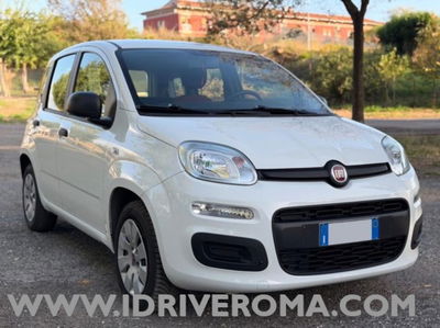 Fiat Panda 1.2 EasyPower Easy usata
