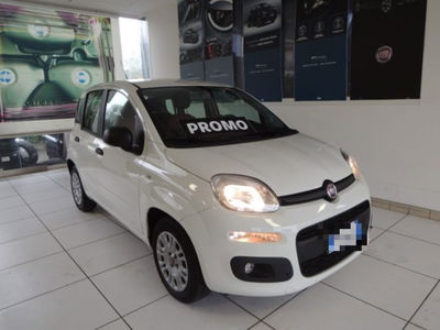 Fiat Panda 1.3 MJT 95 CV S&S Easy usata