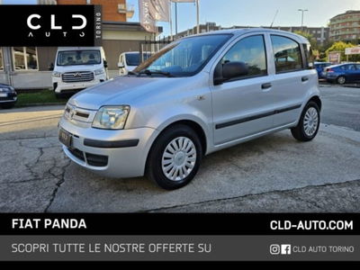 Fiat Panda 1.2 Active usata
