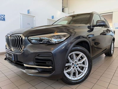 BMW X5 xDrive25d Business usata