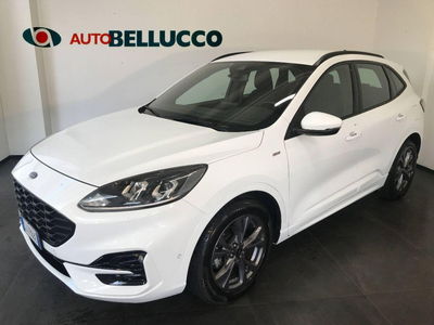 Ford Kuga 1.5 TDCI 120 CV S&S 2WD ST-Line usata