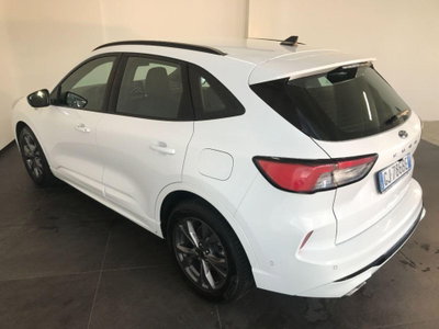 Ford Kuga 1.5 TDCI 120 CV S&S 2WD ST-Line (5)