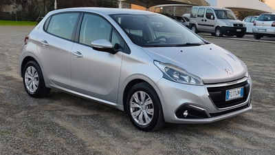 Peugeot 208 75 5 porte Active usata