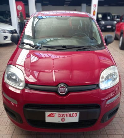 Fiat Panda 1.2 Pop usata