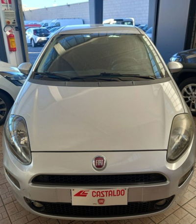 Fiat Punto 1.2 8V 5 porte Lounge usata