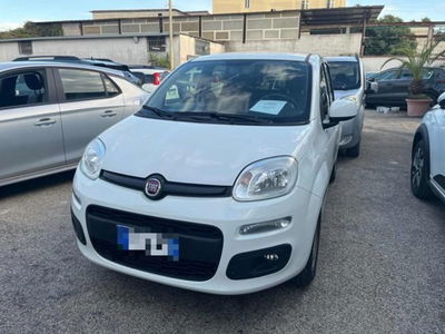 Fiat Panda 1.2 usata