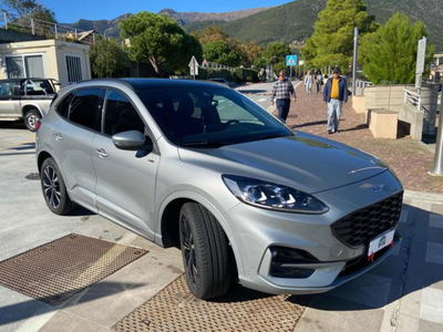 Ford Kuga 2.0 EcoBlue 120 CV aut. 2WD ST-Line X usata