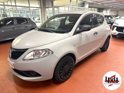 Lancia Ypsilon 1.2 69 CV 5 porte Platinum usata
