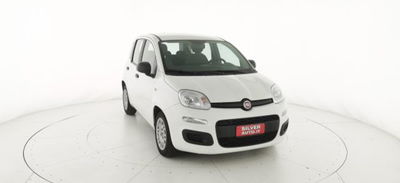 Fiat Panda 1.0 firefly hybrid s&s 70cv 5p.ti usata