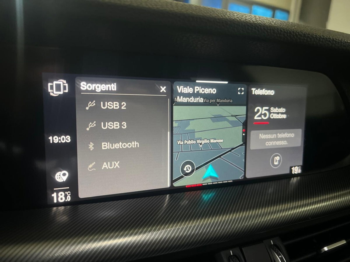 Alfa Romeo Stelvio Stelvio 2.2 Turbodiesel 190 CV AT8 Q4 Sprint (10)