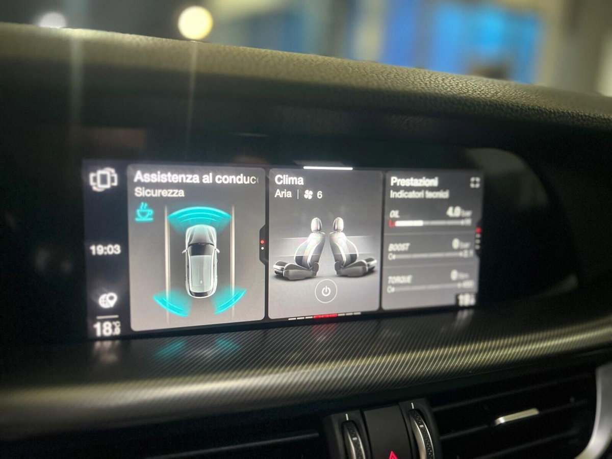 Alfa Romeo Stelvio Stelvio 2.2 Turbodiesel 190 CV AT8 Q4 Sprint (15)