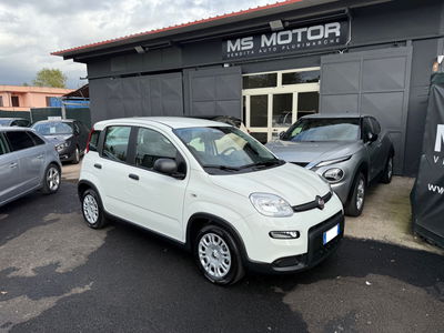Fiat Panda 1.0 FireFly S&S Hybrid City Cross nuova