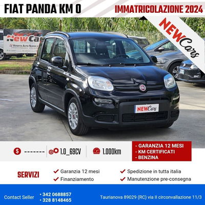 Fiat Panda Cross Cross 1.0 FireFly S&S Hybrid usata
