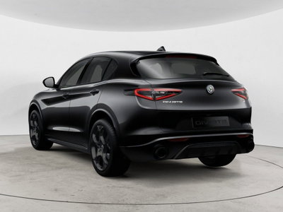 Alfa Romeo Stelvio Stelvio 2.2 Turbodiesel 210 CV AT8 Q4 Veloce Tì (4)