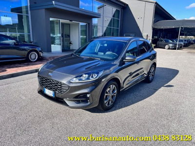 Ford Kuga 2.0 EcoBlue 120 CV aut. 2WD ST-Line X usata