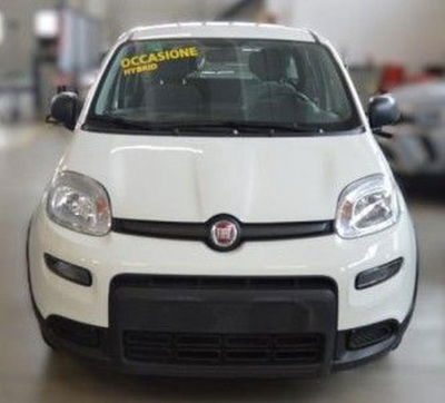 Fiat Panda 1.0 firefly hybrid s&s 70cv 5p.ti usata