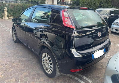 Fiat Punto 1.3 MJT II 75 CV 5 porte Lounge usata