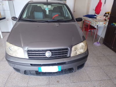 Fiat Punto 1.2 5 porte Active Natural Power usata