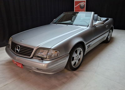 Mercedes-Benz SL 500 cat Avantgarde usata