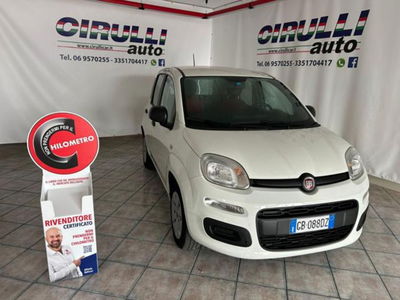 Fiat Panda 1.2 Pop usata