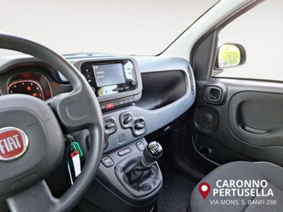 Fiat Panda 1.0 firefly hybrid s&s 70cv 5p.ti (11)
