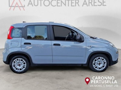 Fiat Panda 1.0 firefly hybrid s&s 70cv 5p.ti (6)