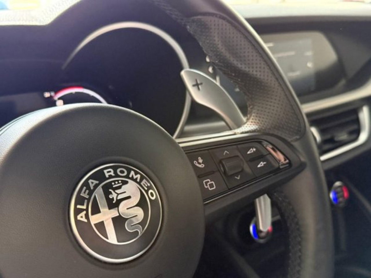 Alfa Romeo Stelvio Stelvio 2.2 Turbodiesel 160 CV AT8 RWD Sprint (8)