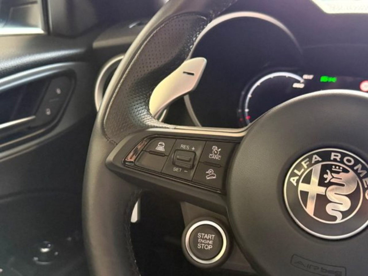 Alfa Romeo Stelvio Stelvio 2.2 Turbodiesel 160 CV AT8 RWD Sprint (10)