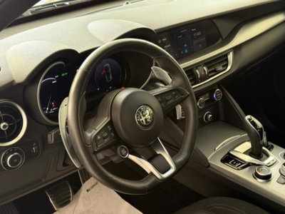Alfa Romeo Stelvio Stelvio 2.2 Turbodiesel 160 CV AT8 RWD Sprint (5)