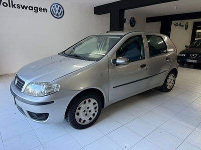 Fiat Punto 1.3 Multijet 16V 5 porte Active usata