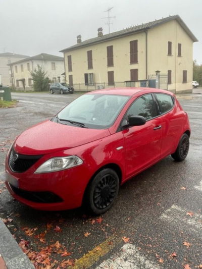 Lancia Ypsilon 1.2 69 CV 5 porte Elefantino Blu usata