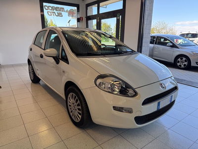 Fiat Punto 1.4 8V 5 porte Natural Power Lounge usata
