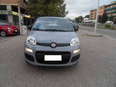 Fiat Panda 1.2 EasyPower Easy usata