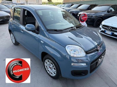 Fiat Panda 1.0 FireFly S&S Hybrid usata