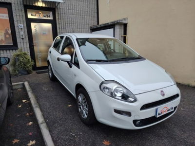 Fiat Punto 1.2 8V 5 porte Street usata