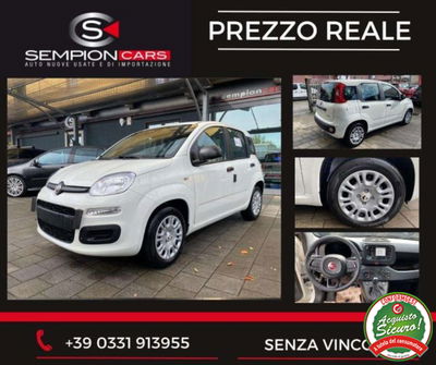 Fiat Panda 1.0 firefly hybrid s&s 70cv 5p.ti nuova