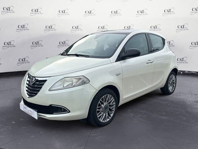 Lancia Ypsilon 1.3 MJT 16V 95 CV 5 porte S&S Platinum