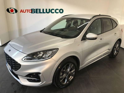 Ford Kuga 1.5 EcoBlue 120 CV aut. 2WD ST-Line X Design usata