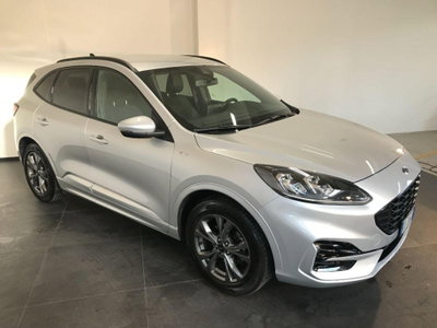 Ford Kuga 1.5 EcoBlue 120 CV aut. 2WD ST-Line X (3)