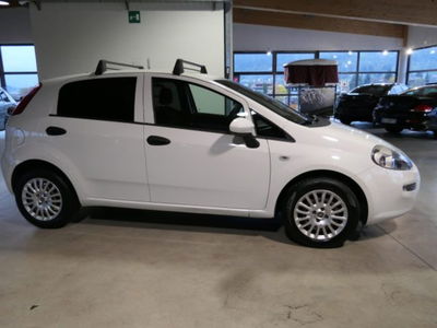 Fiat Punto 1.4 3 porte Van Easy 2 posti usata